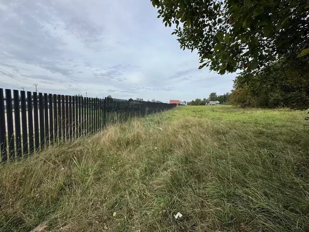 Участок в Ленинградская область, Выборгский район, Рощинское городское ... - Фото 2