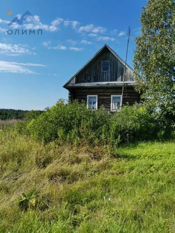 Дом в Вологодская область, д. Зуево 20 (47 м) - Фото 0