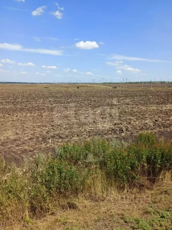 Участок в Белгородская область, Валуйки Магистральная ул. (1192.0 ... - Фото 1
