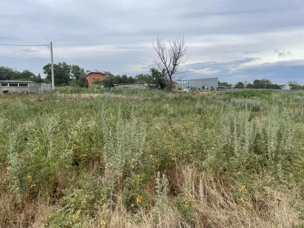 Участок в Ростовская область, Аксайский район, Старочеркасское с/пос, ... - Фото 2
