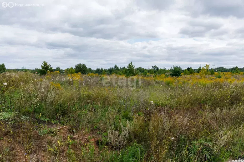 Участок в Завьяловский район, ТСН Крылатское, Можгинская улица (10 м) - Фото 0