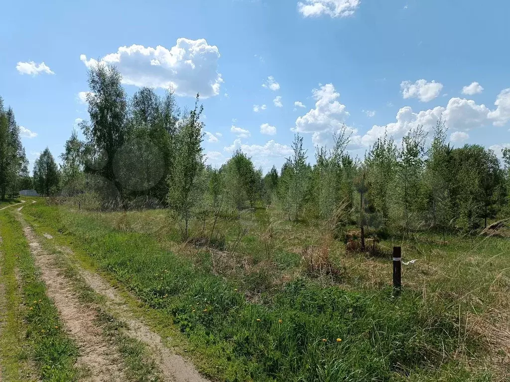 Участок 15 сот. (СНТ, ДНП) - Фото 1