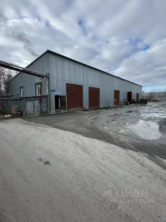 Производственное помещение в Новосибирская область, Бердск ... - Фото 2