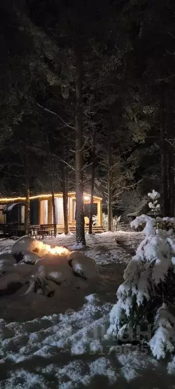 Дом в Ленинградская область, Приозерский район, Красноозерное с/пос, ... - Фото 2