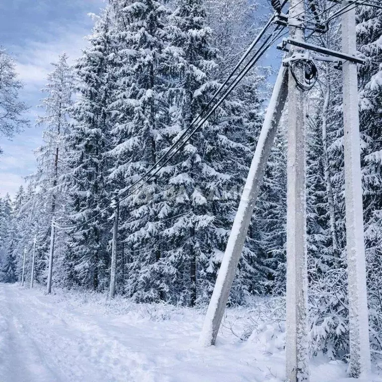 Участок в Ленинградская область, Ломоносовский район, Лопухинское ... - Фото 1