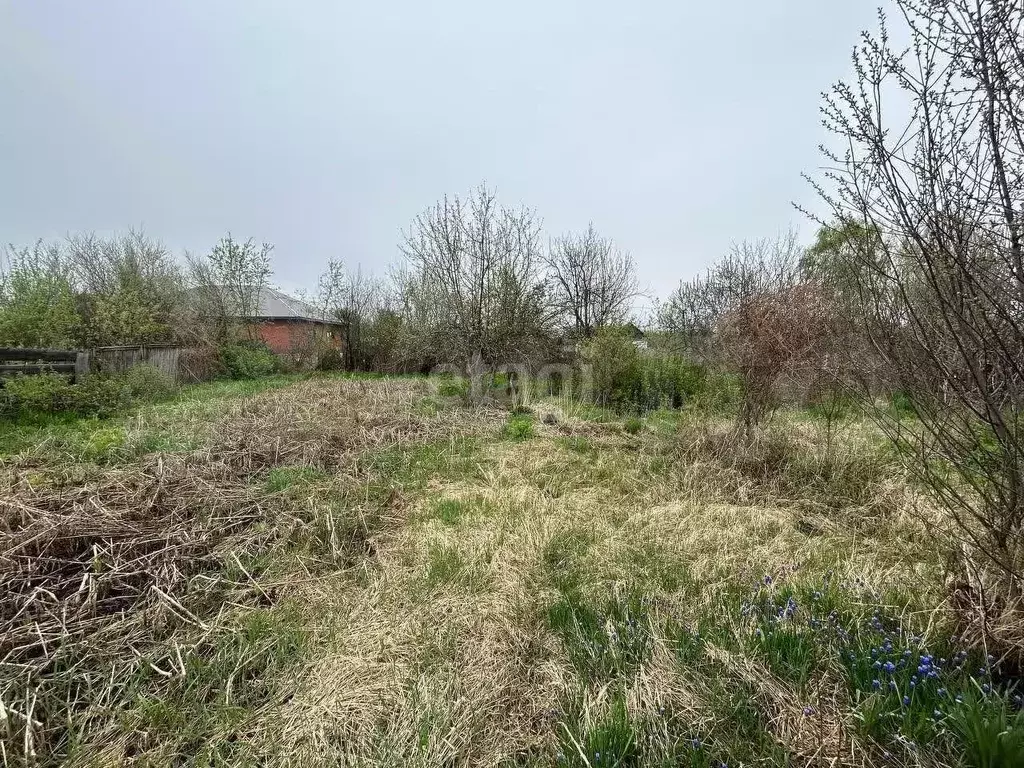 Участок 3,6 сот. (СНТ, ДНП) - Фото 0