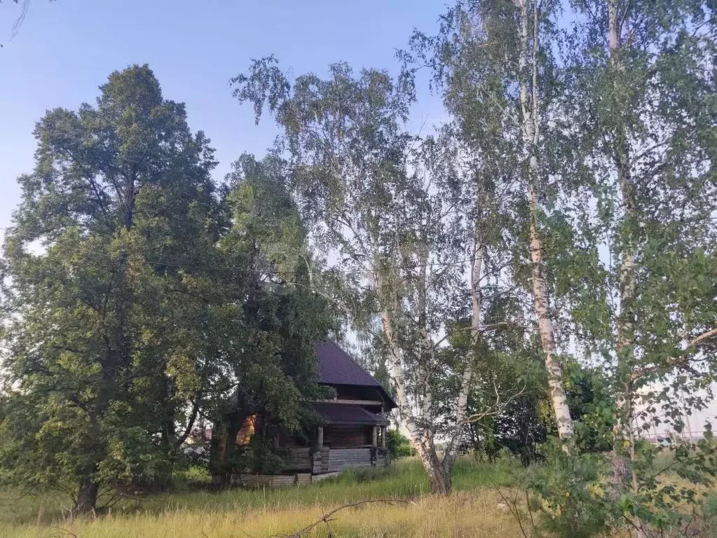Участок в Мордовия, Ковылкинский район, Краснопресненское с/пос, пос. ... - Фото 1