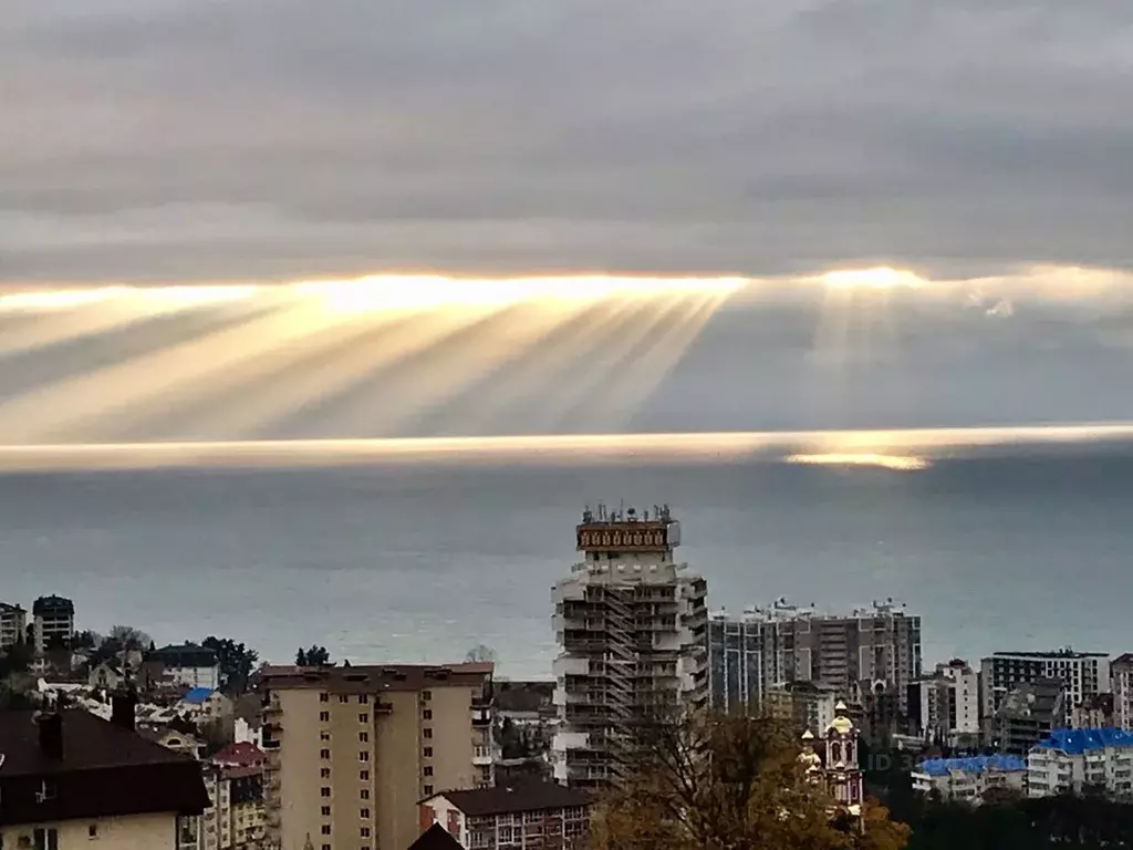 Свободной планировки кв. Краснодарский край, Сочи Целинная ул., 15/11 ... - Фото 0