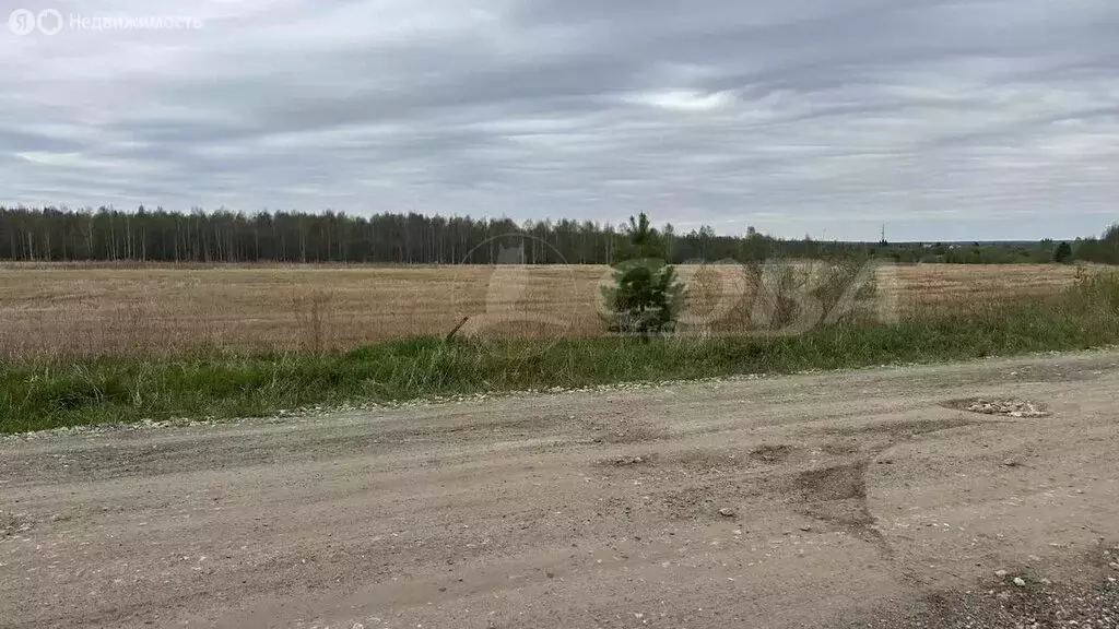 Участок в Свердловская область, Тугулымский муниципальный округ, ... - Фото 0