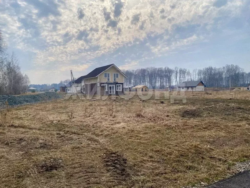 Участок в Новосибирская область, Новосибирский район, Кудряшовский ... - Фото 0
