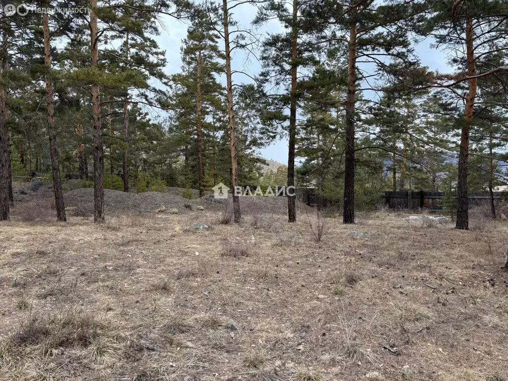 Участок в Иволгинский район, сельское поселение Сотниковское, село ... - Фото 1