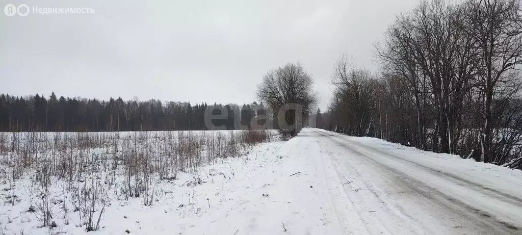 Участок в деревня Малый Шаплак, улица Малый Шаплак (780 м) - Фото 0