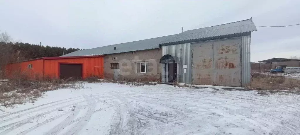 Помещение свободного назначения в Алтайский край, Красногорский район, ... - Фото 1