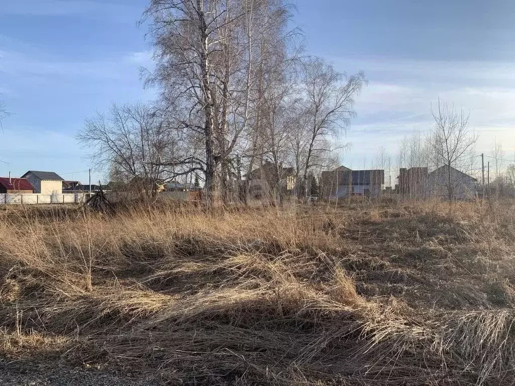 Участок в Новосибирская область, Новосибирский район, Верх-Тулинский ... - Фото 0