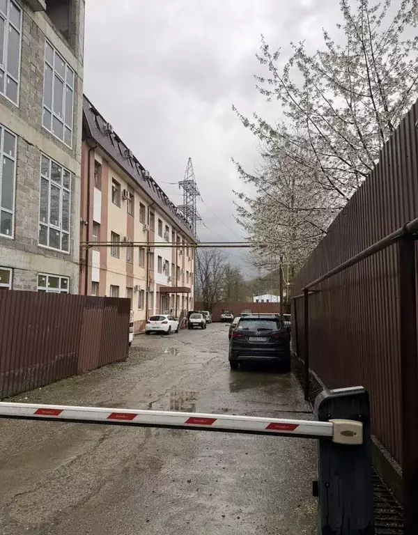 Студия Краснодарский край, Сочи городской округ, Дагомыс пгт ул. ... - Фото 1