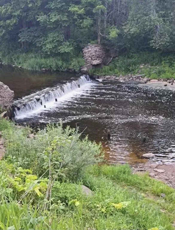 Дом в Новгородская область, Крестецкий муниципальный округ, с. ... - Фото 1