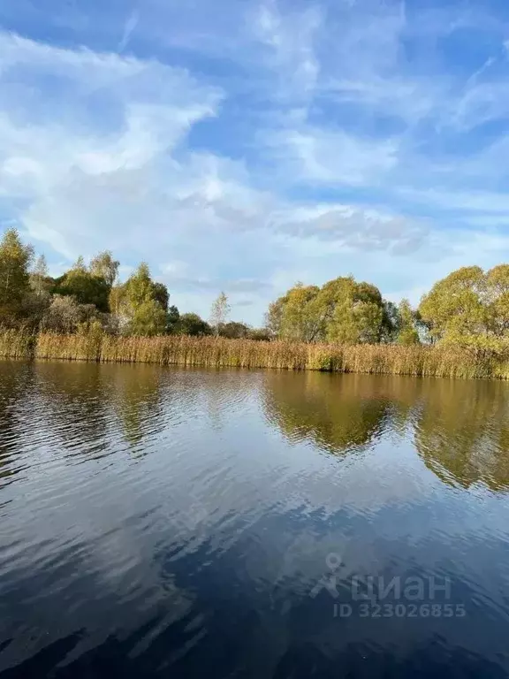Участок в Тверская область, Кимрский муниципальный округ, д. Шиблино  ... - Фото 1