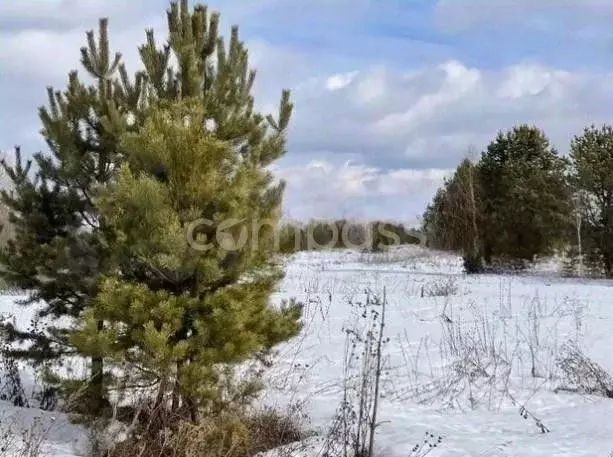 Участок в Тюменская область, Нижнетавдинский район, д. Красный Яр  ... - Фото 1