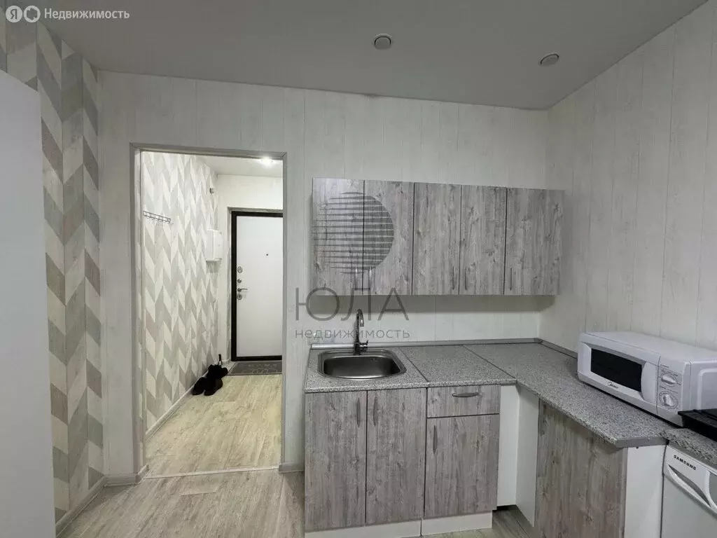 Квартира-студия: Мурино, Ручьёвский проспект, 4/26 (23 м) - Фото 2