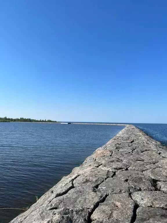 Дом в Ленинградская область, Приозерский район, Запорожское с/пос, ... - Фото 1