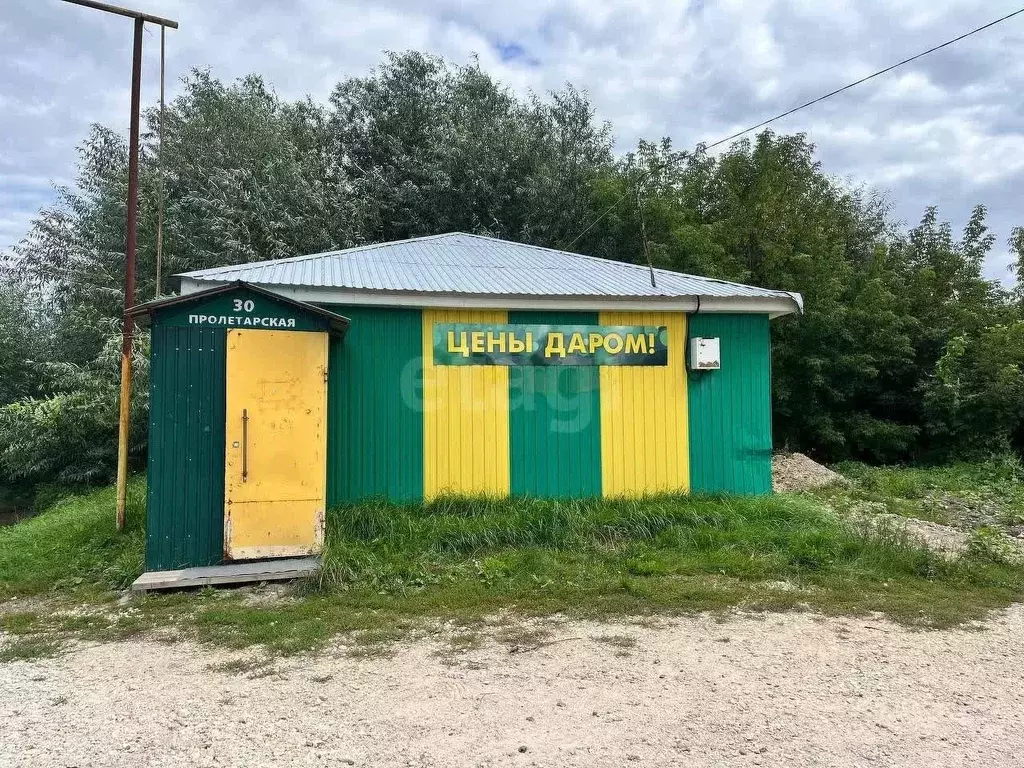 Торговая площадь в Владимирская область, Муром с. Панфилово, ул. ... - Фото 1