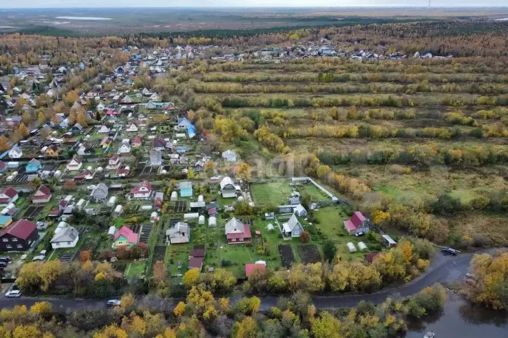 Участок 9,9 сот. (СНТ, ДНП) - Фото 1