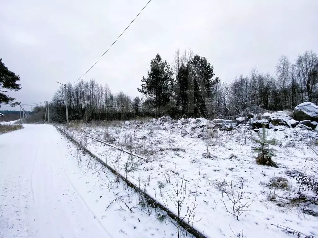 Участок в Ленинградская область, Приозерск ул. Испытателей, 5 (12.0 ... - Фото 2