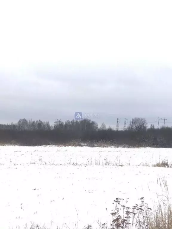 Участок в Тюменская область, Тюменский район, с. Каменка  (6.43 сот.) - Фото 1