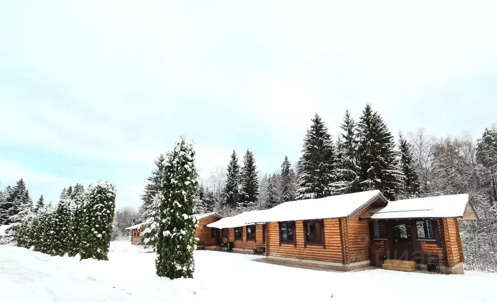 Дом в Тверская область, Осташковский муниципальный округ, д. Заречье ... - Фото 1