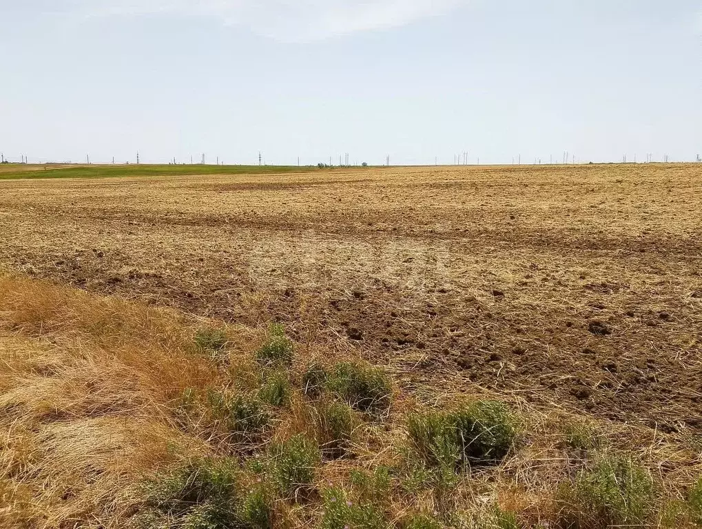 Участок в Крым, Феодосия муниципальный округ, с. Береговое ул. ... - Фото 1