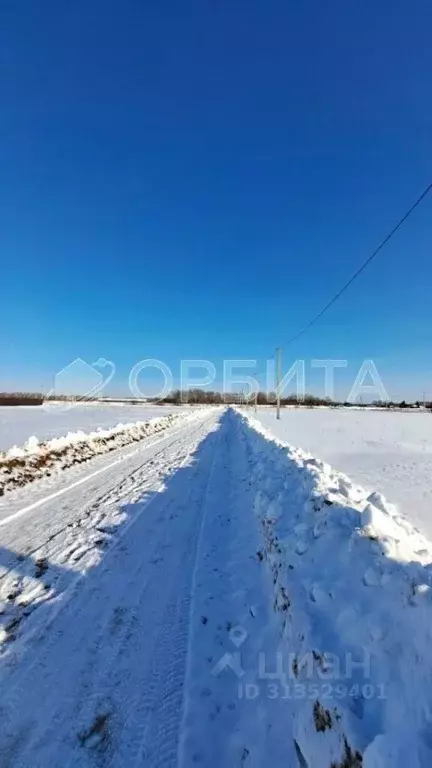 Участок в Тюменская область, Тюменский район, д. Марай  (7.5 сот.) - Фото 1