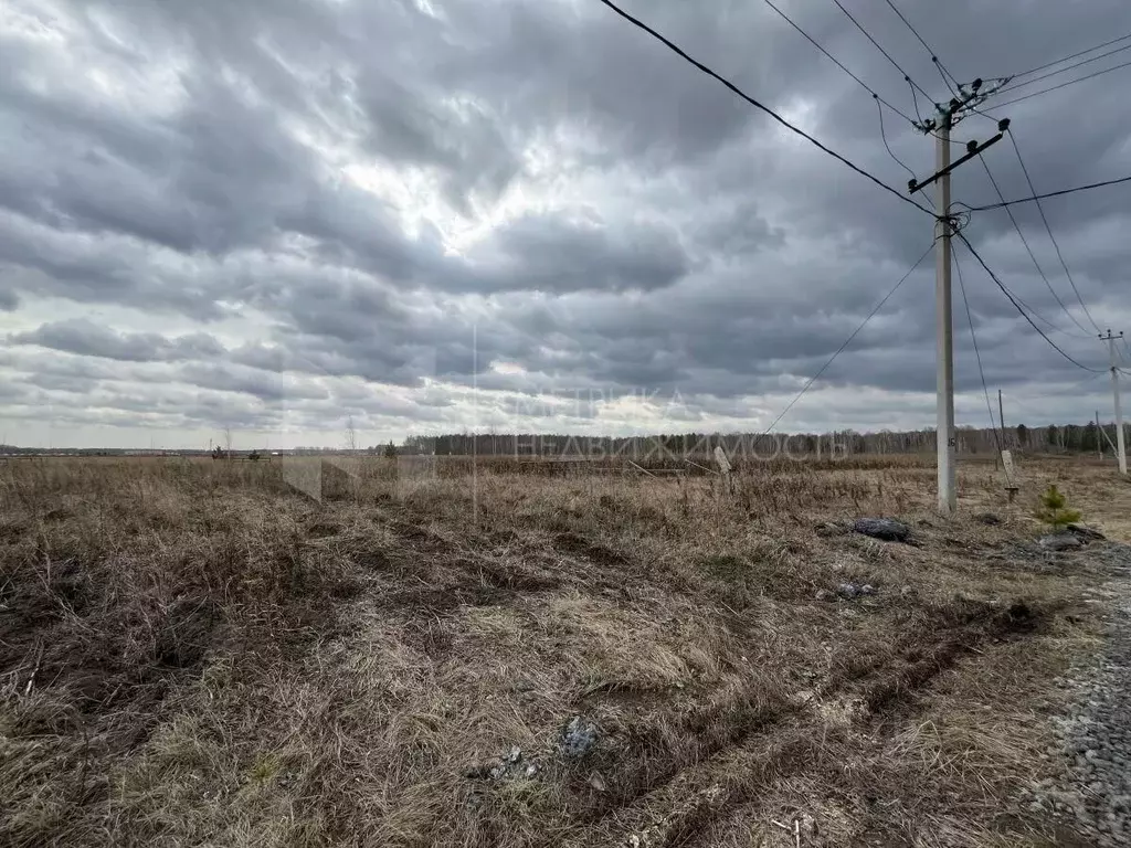 Участок в Тюменская область, Тюменский район, с. Каменка  (10.0 сот.) - Фото 1