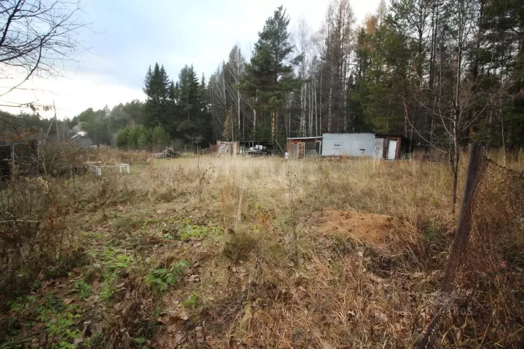 Участок в Свердловская область, Кушвинский муниципальный округ, пос. ... - Фото 1