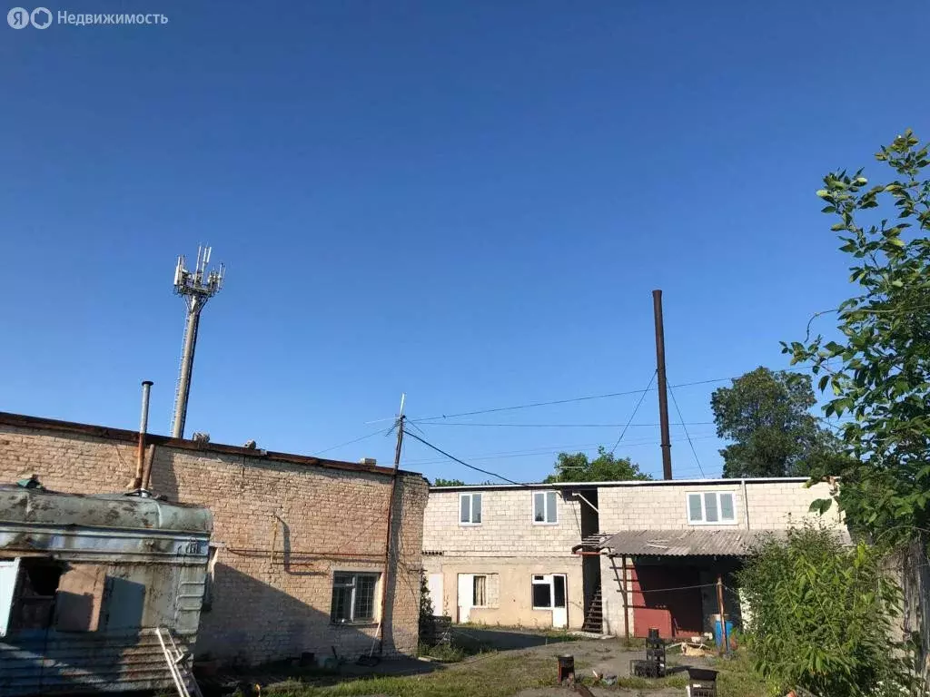 Помещение свободного назначения (1200 м) - Фото 1