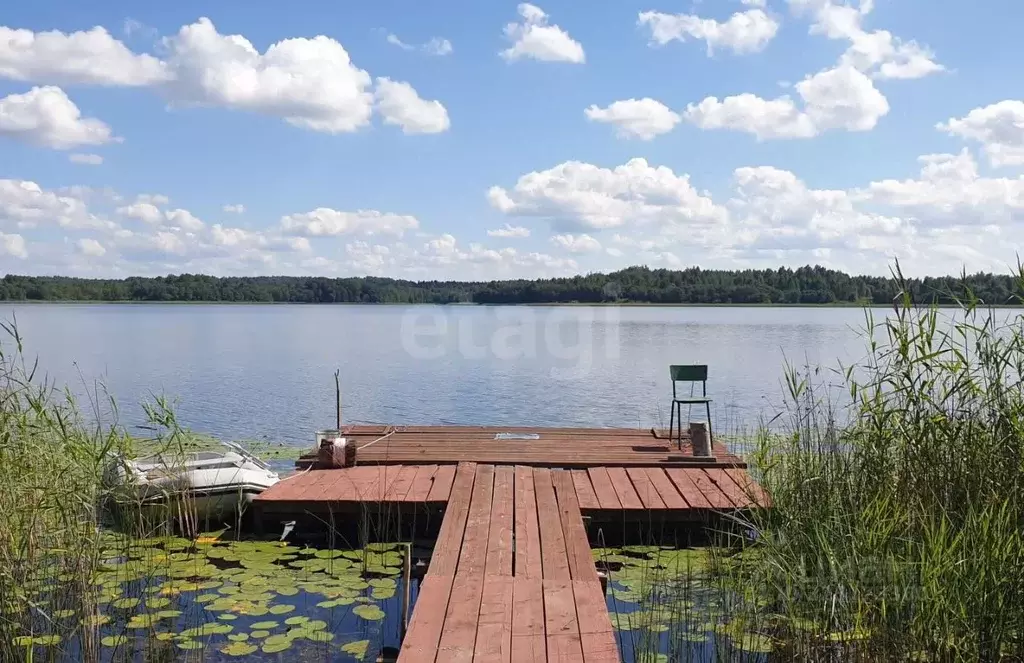 Дом в Смоленская область, Руднянский муниципальный округ, д. Заборье ... - Фото 1