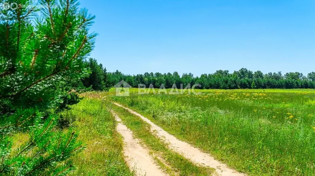 Участок в село Ямкино (9.62 м) - Фото 0