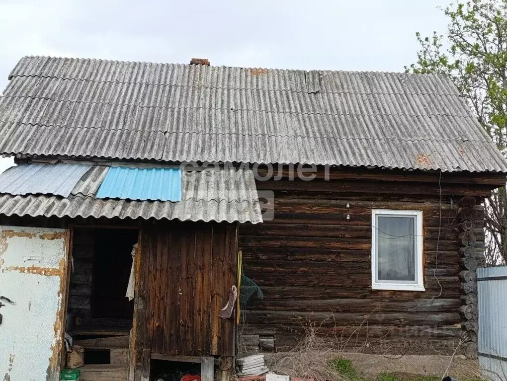 Дом в Томская область, Зырянский район, с. Семеновка ул. Томилина, 19 ... - Фото 2