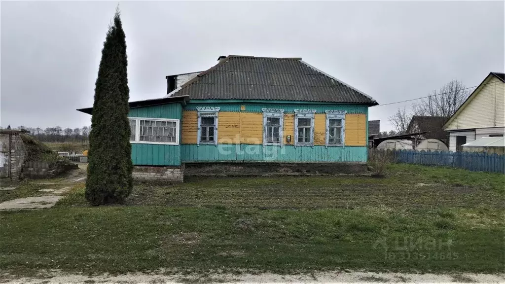 Дом в Брянская область, Выгоничское городское поселение, д. Бурачовка ... - Фото 1