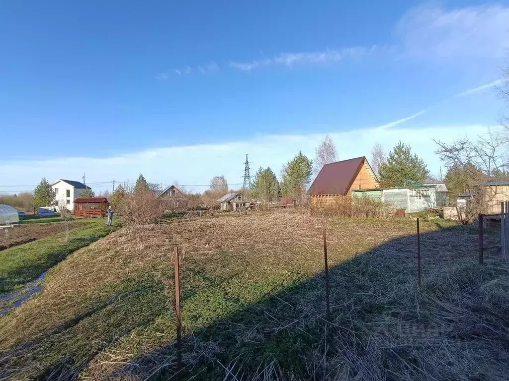 Участок в Вологодская область, д. Бурцево ул. Зеленая (5.5 сот.) - Фото 2