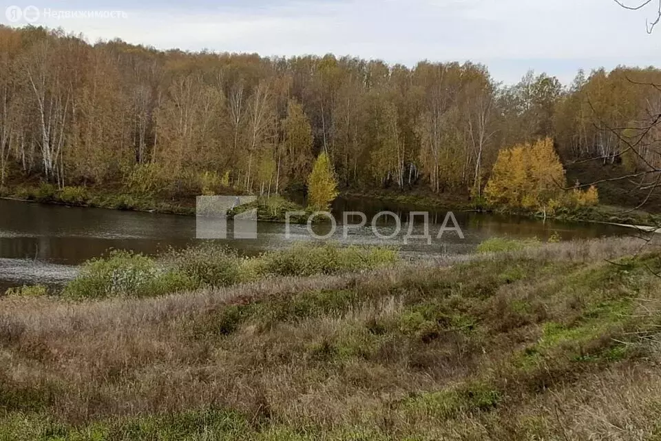 Участок в деревня Кругликово, улица Лесхоз, 2 (14 м) - Фото 0