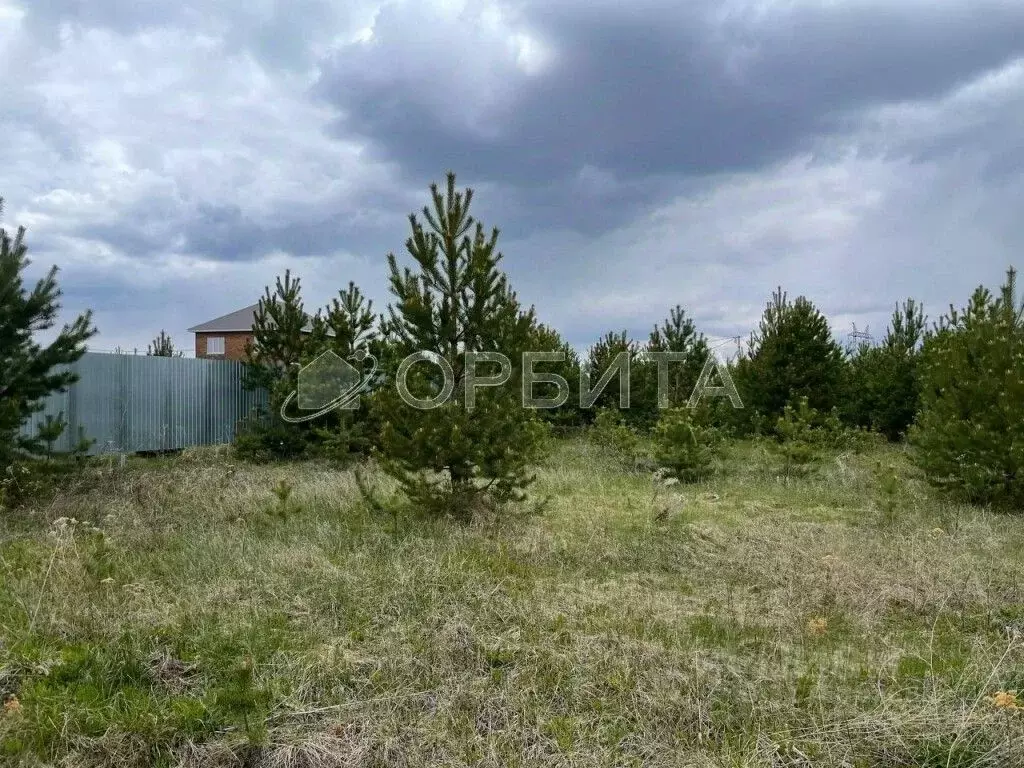 Участок в Тюменская область, Тюмень Мыс мкр, ул. Ушакова (10.0 сот.) - Фото 0
