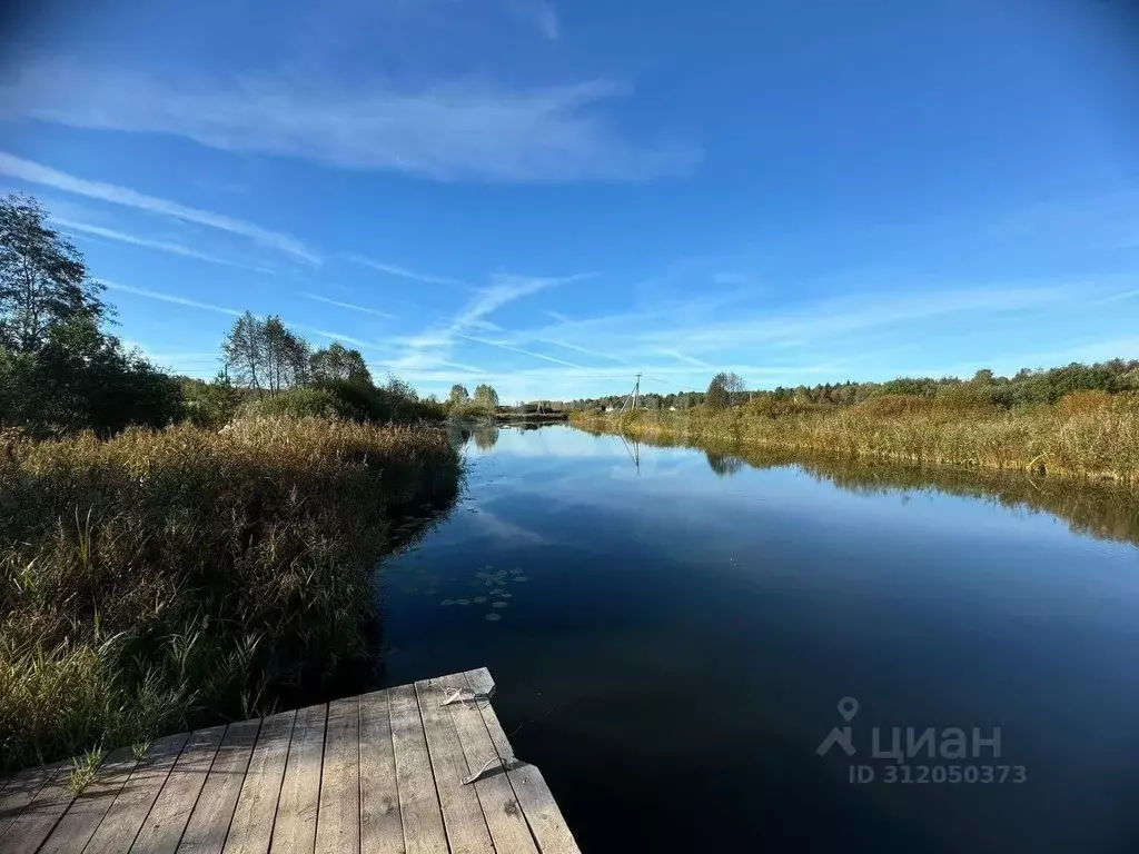 Участок в Костромская область, Красносельский район, Шолоховское ... - Фото 1