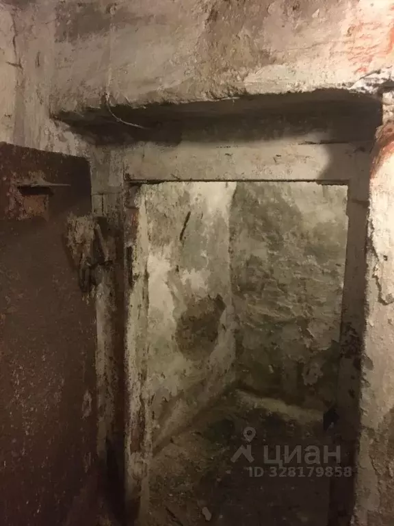 Помещение свободного назначения в Челябинская область, Челябинск ул. ... - Фото 1