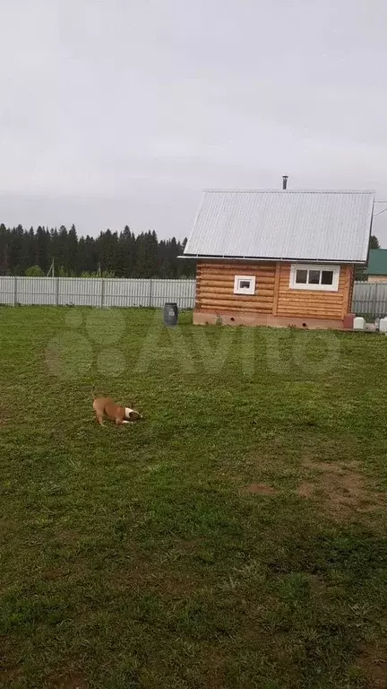 Участок 15 сот. (ИЖС) - Фото 1