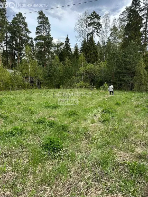 Участок в Черноголовка, СНТ Крона (11.2 м) - Фото 0