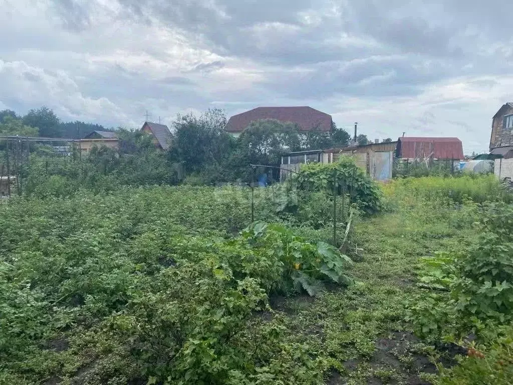 Дом в Алтайский край, Барнаул Мичуринцев СНТ,  (38 м) - Фото 1