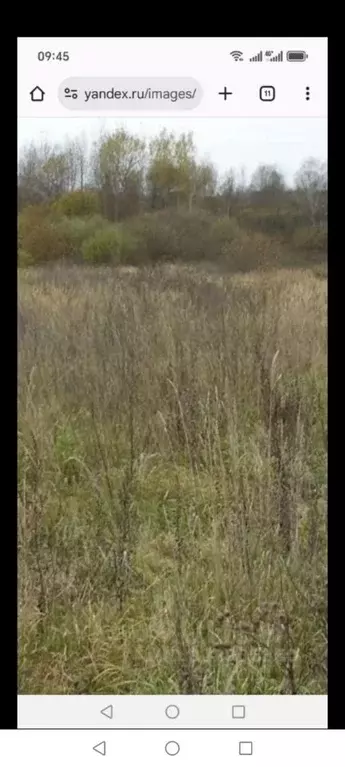 Участок в Нижегородская область, Володарский муниципальный округ, ... - Фото 0