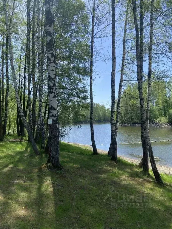 Участок в Калужская область, Кировский муниципальный округ, Дуброво ... - Фото 2