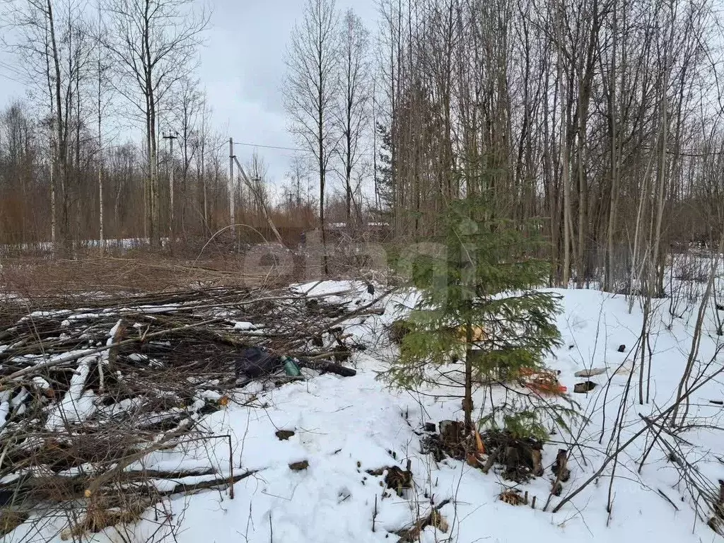 Участок в Вологодская область, Вологда ул. Власьевская (8.6 сот.) - Фото 2