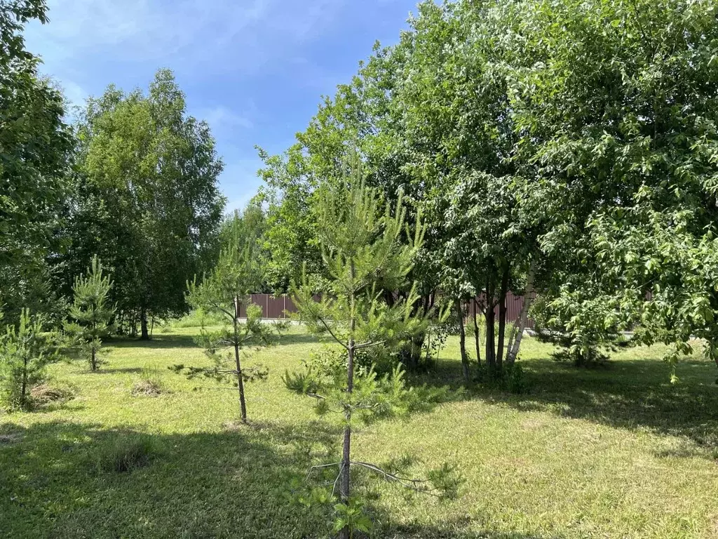 Участок в Московская область, Истра муниципальный округ, д. Падиково ... - Фото 2